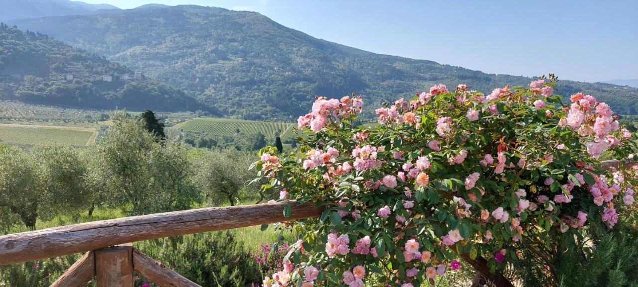 La Fornella Dell'Anita Villa Pelago Exterior foto